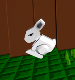 Bunny