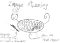 Thumbnail for version as of 05:44, 17 May 2025
